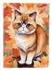 Exotic Shorthair Cat in Fall Leaves House Flag Large Porch Sleeve Pole Decorative Outside Yard Banner Artwork Wall Hanging, Polyester, House Size