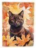 York Chocolate Cat in Fall Leaves Garden Flag Mailbox Flag Decorative Yard Flag Banner Outside Patio Artwork Yard Flower Beds, Garden Size, Multicolor