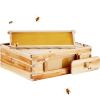 VEVOR Bee Hive Medium Box Starter Kit, 100% Beeswax Coated Natural Cedar Wood, Langstroth Beehive Kit with 10 Frames and Foundations