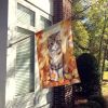 Scottish Fold Cat in Fall Leaves House Flag Large Porch Sleeve Pole Decorative Outside Yard Banner Artwork Wall Hanging, Polyester, House Size